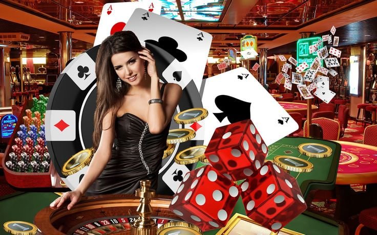 6633bet