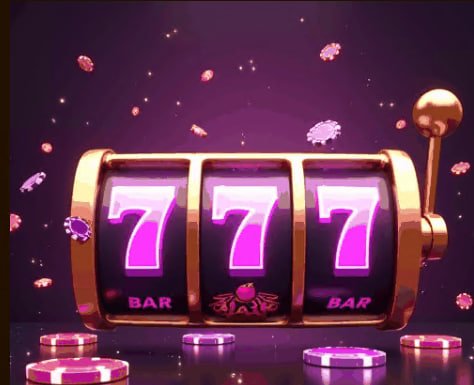 6633bet